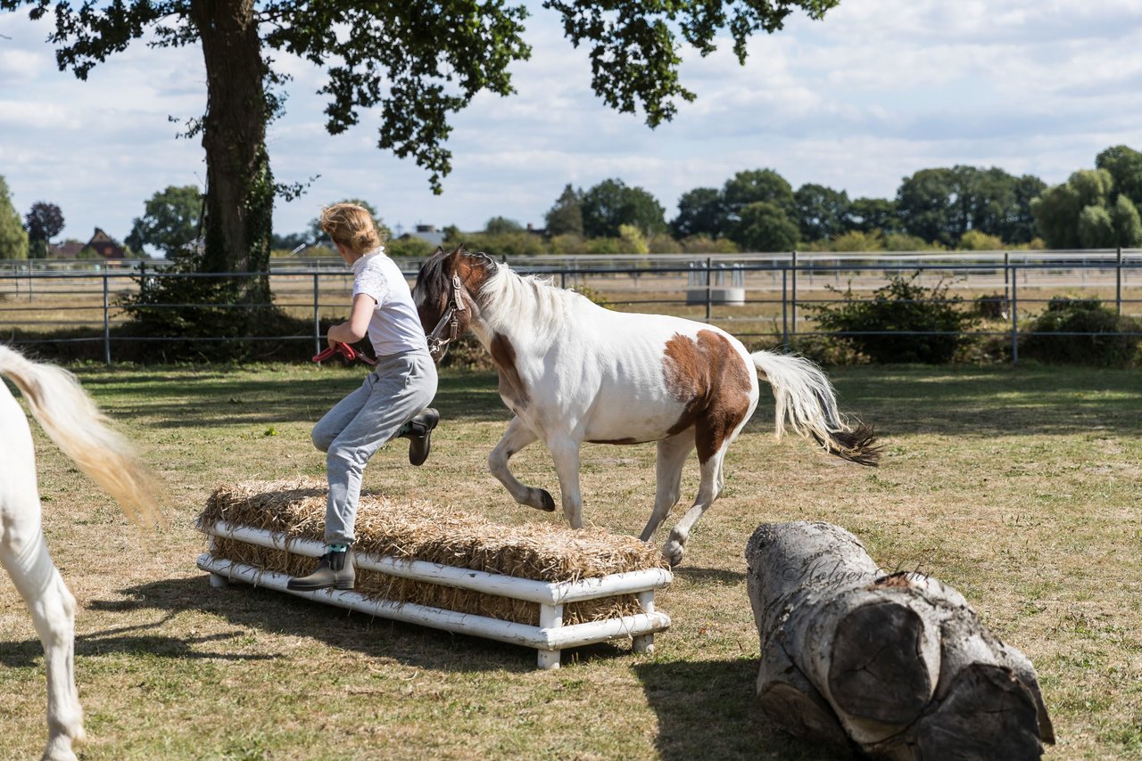 Bild 54 - Pony Akademie Turnier